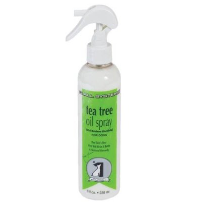 Το Tea Tree Oil Spray, είναι ένα εντελώς φυσικό προϊόν το οποίο είναι αντιμυκητιασικό, αντιβακτηριδιακό, αντισηπτικό και αναλγητικό.