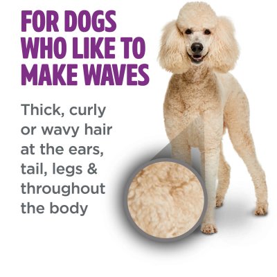 Σαμπουάν απο την εταιρεία Tropiclean /Curly & Wavy Coat Shampoo 473ml  Είναι ειδικά σχεδιασμένο για σκύλους με πυκνό, σγουρό τρίχωμα.Κατάλληλο για φυλές όπως Poodles, Bischon Frises, Old English Sheepdogs και γενικότερα για σκύλους με όγκο στο τρίχωμα.