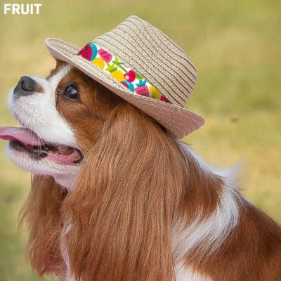 Υπέροχο και ταυτόχρονα κομψό, τύπου Panama,  ψάθινο καπέλο, ήλιου για σκύλους απο την εταιρεία Croci.Διαστάσεις Περιφέρεια κεφαλής 8cm & 11cm