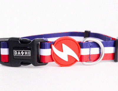 Red-Blue-Stripes-Dog-Collar-360